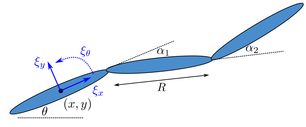 A three-link swimming robot